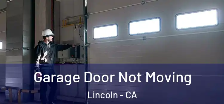  Garage Door Not Moving Lincoln - CA